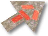 DZ MARKER