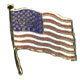 U.S.A. FLAG PIN