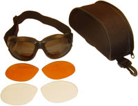 CRUISER 2 GOGGLES W/3